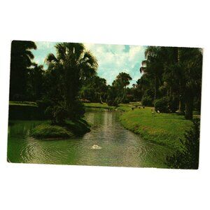 Artesian Well Postcard Sarasota Jungle Gardens Vintage Scenic Florida Landscape